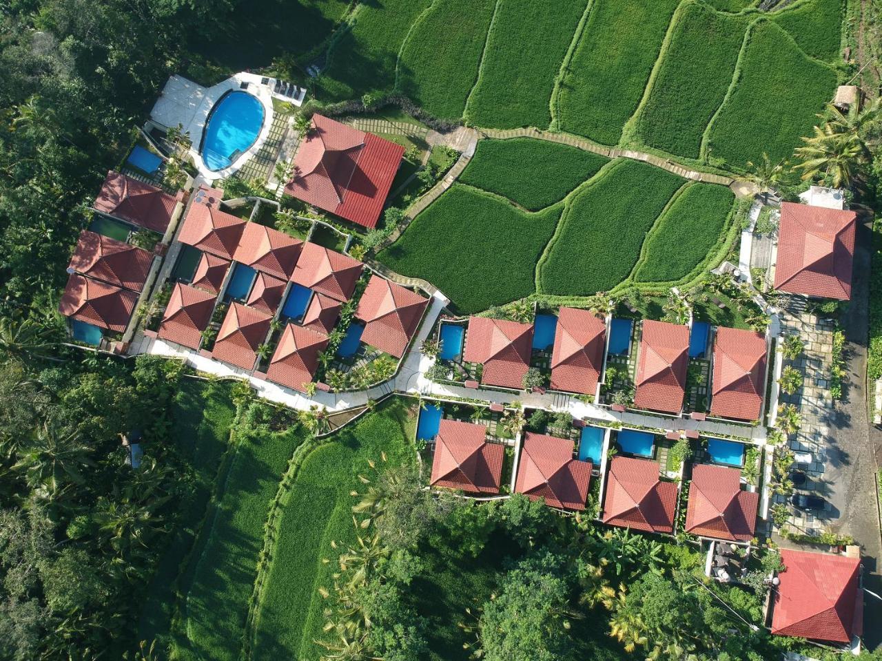 Vrindavan Ubud Villa Tegallalang (Bali) Exterior foto