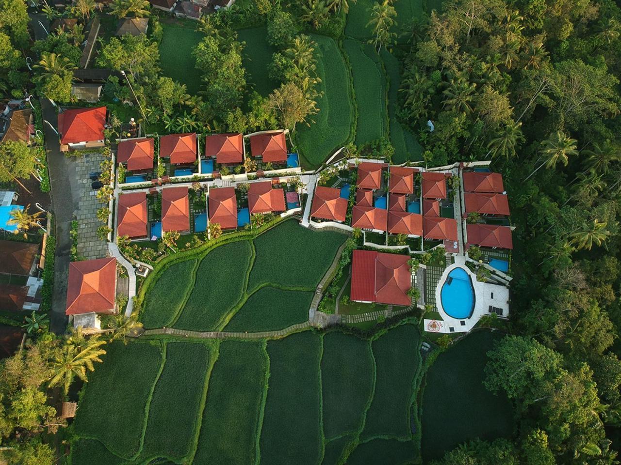 Vrindavan Ubud Villa Tegallalang (Bali) Exterior foto