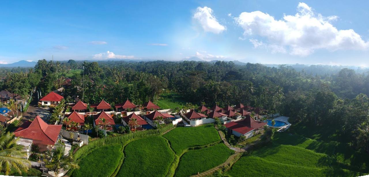 Vrindavan Ubud Villa Tegallalang (Bali) Exterior foto
